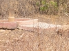 dscf7075